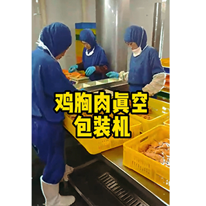 雞胸肉真空包裝機(jī)